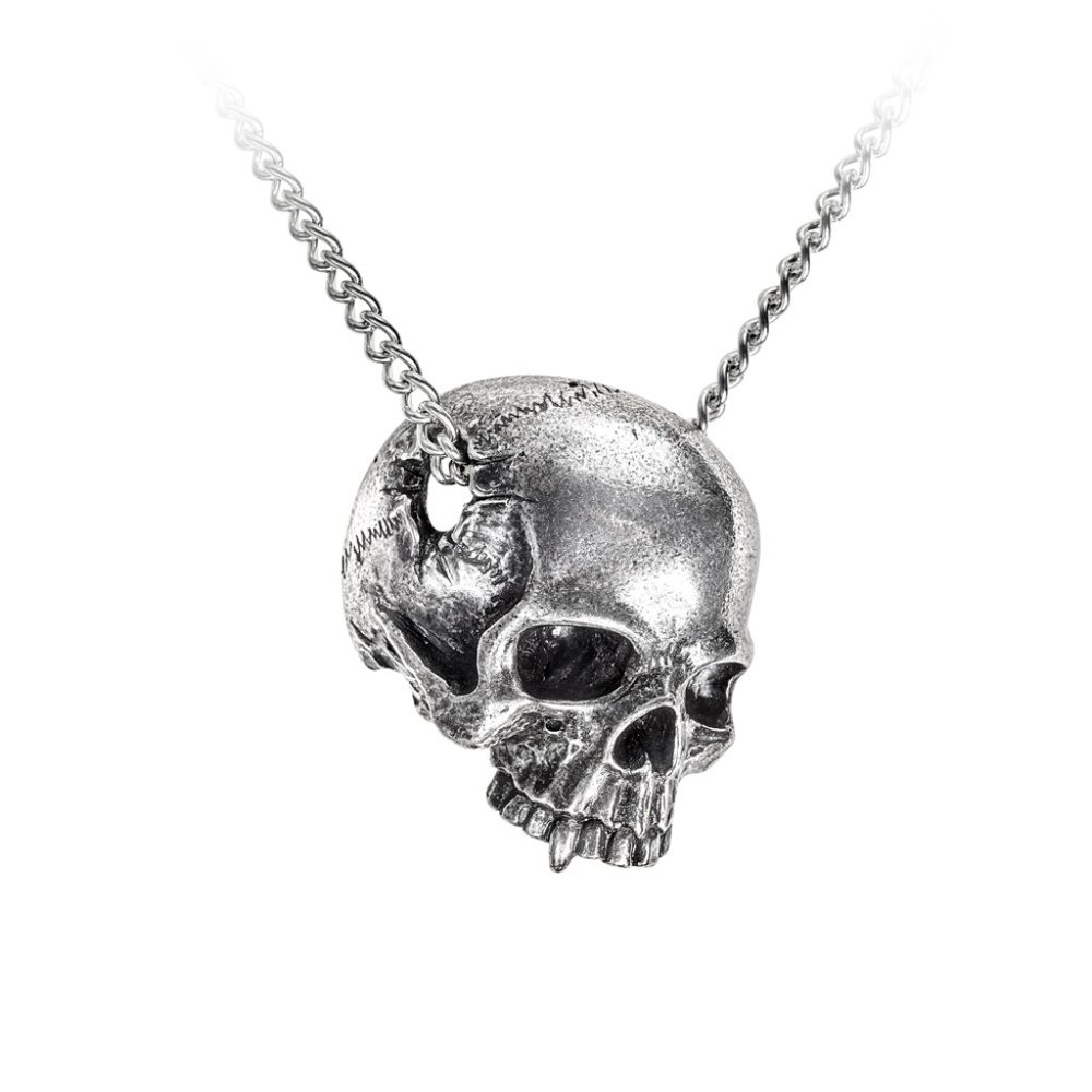Alchemy Gothic Remains Cracked Skull Vampire Fang Pendant New